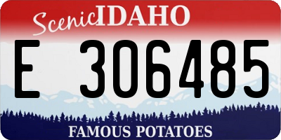 ID license plate E306485