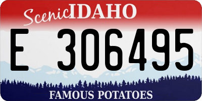 ID license plate E306495