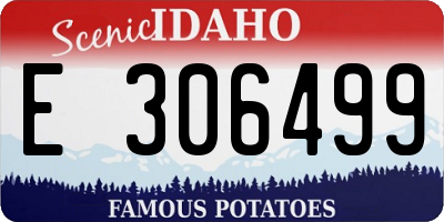 ID license plate E306499