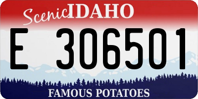 ID license plate E306501