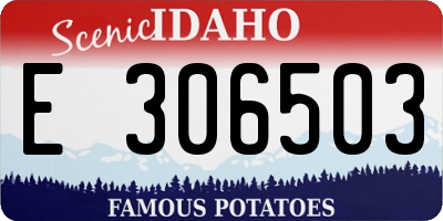 ID license plate E306503
