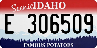 ID license plate E306509