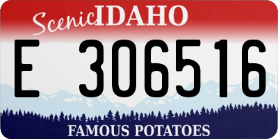 ID license plate E306516