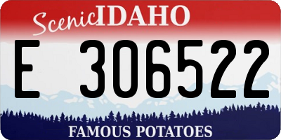 ID license plate E306522
