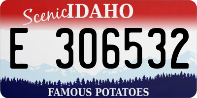 ID license plate E306532