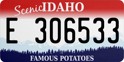 ID license plate E306533