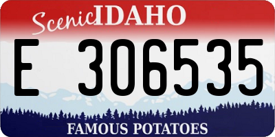 ID license plate E306535