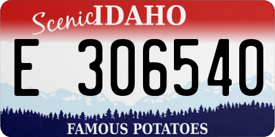 ID license plate E306540