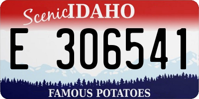 ID license plate E306541