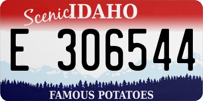 ID license plate E306544