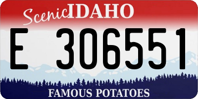 ID license plate E306551