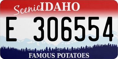 ID license plate E306554
