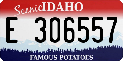 ID license plate E306557