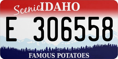 ID license plate E306558