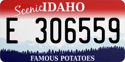 ID license plate E306559