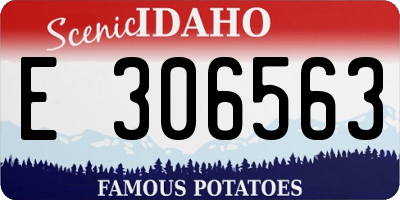 ID license plate E306563