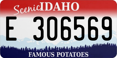 ID license plate E306569