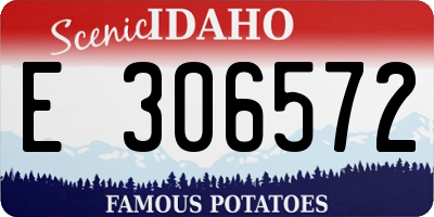 ID license plate E306572