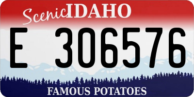 ID license plate E306576