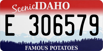 ID license plate E306579