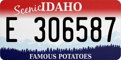 ID license plate E306587
