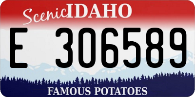 ID license plate E306589
