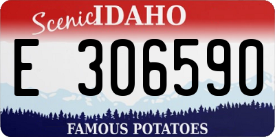 ID license plate E306590