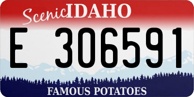 ID license plate E306591