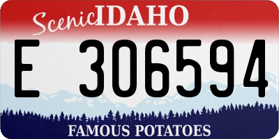 ID license plate E306594