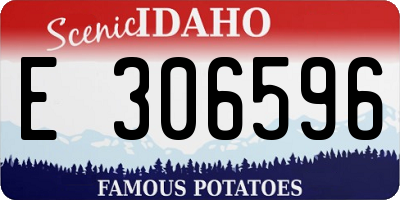 ID license plate E306596