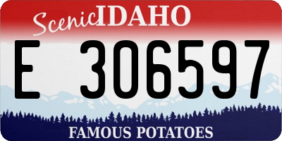 ID license plate E306597