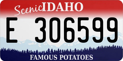 ID license plate E306599