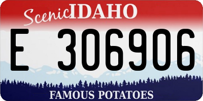 ID license plate E306906