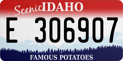 ID license plate E306907