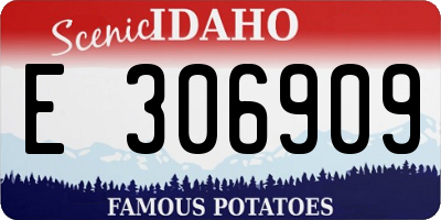 ID license plate E306909