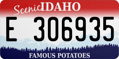 ID license plate E306935