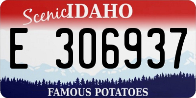 ID license plate E306937
