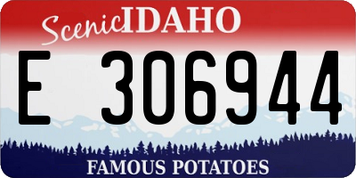 ID license plate E306944