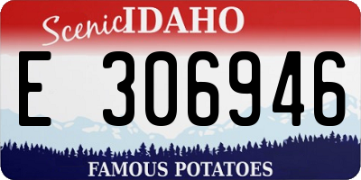 ID license plate E306946