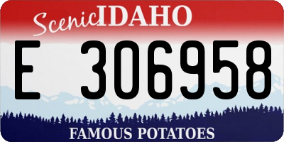 ID license plate E306958