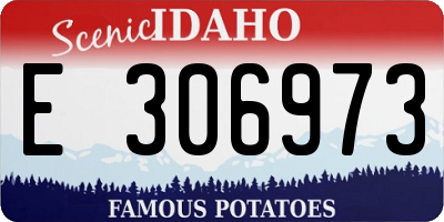 ID license plate E306973