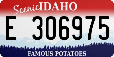 ID license plate E306975