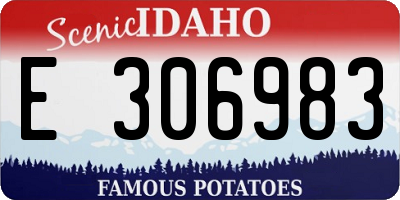 ID license plate E306983