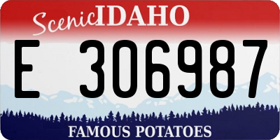 ID license plate E306987