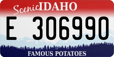 ID license plate E306990