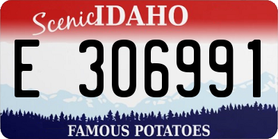 ID license plate E306991