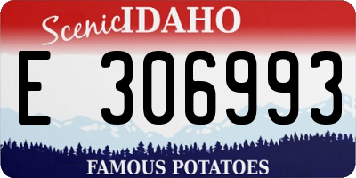 ID license plate E306993