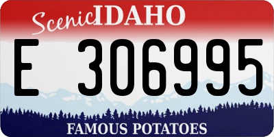 ID license plate E306995