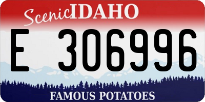 ID license plate E306996