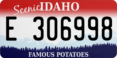 ID license plate E306998